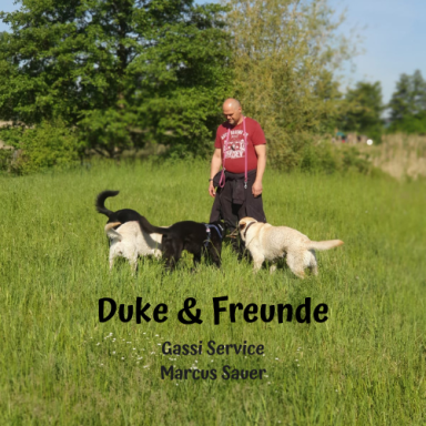 https://duke-und-freunde.jimdofree.com/